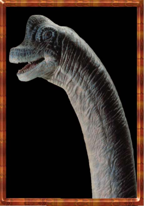 Headshot of Brachiosaurus