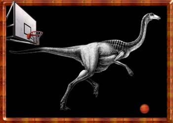 Gallimimus Playing Basketball