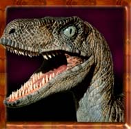 Headshot of Raptor