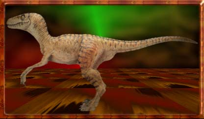 Picture of Raptor