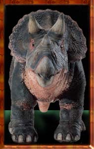 Picture of Triceratops