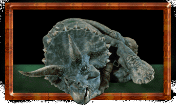 A Sick Triceratops